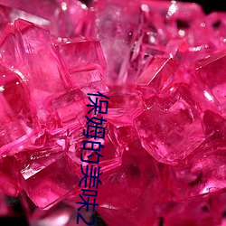 保(bǎo)姆的(de)美味2