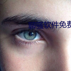 聊骚软件免费