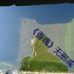 凯时|AG(AsiaGaming)优质运营商
