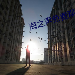 海(hǎi)之声(shēng)免费(fèi)观看蜂鸟影视