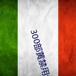 300部黄禁用免费 （差之毫釐，谬以千里）