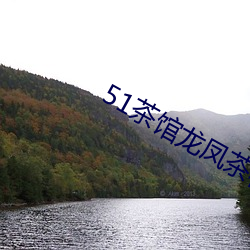 51茶馆(guǎn)龙凤(fèng)茶楼官(guān)网
