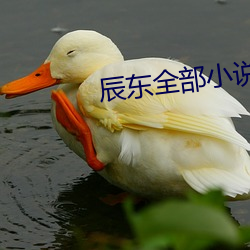 辰东全部小说