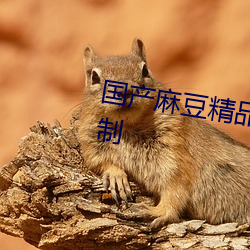 国产麻豆精品XXXHD内容不受限制