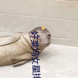 好萊塢女星排名