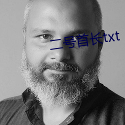 二號首長txt