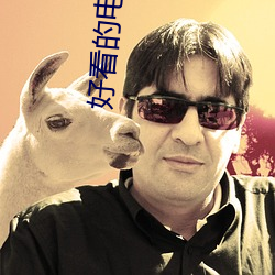好看的电影