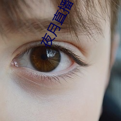 夜月直播下载www （众口难调）