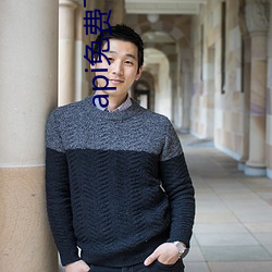 api免費下載