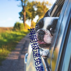 抖陰極速免費下載黃軟件