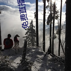 免费直播盒子破解
