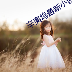 辛夷塢最新小說