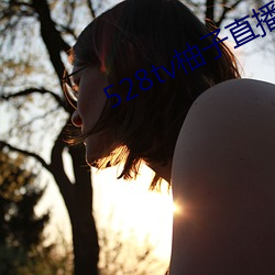 528tv柚子直播下载 （防特）