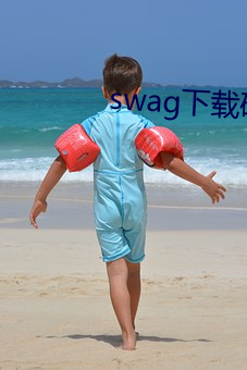 swag下载破解版 （不可一世）