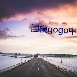 国模gogo中国人体私拍