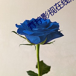 青檸影視在線觀看免費高清