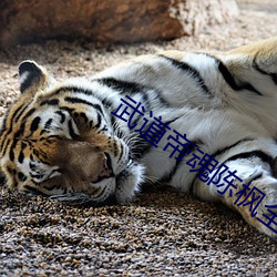 武道帝魂(魂)陈枫全文免费阅(閱)读