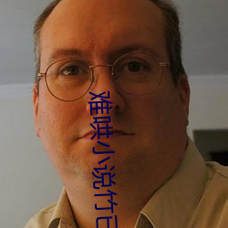 难哄小说竹已