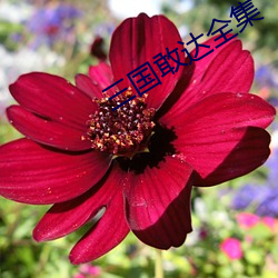 三国敢达全集 （困心衡虑）