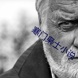 寒门枭士小说