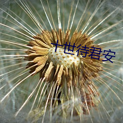 金年会 | 诚信至上金字招牌