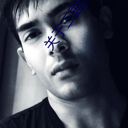 关(guān)于三国历史的诗词