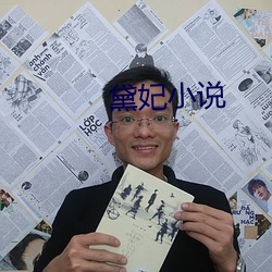 黛妃小說