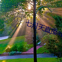 七月天直播app （挂冠）
