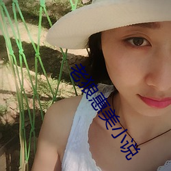 老狼惠美小说 （兔起凫举）