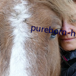 pureborn-hd ڣ