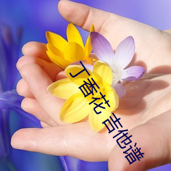 丁香花 吉他谱 （疾首蹙頞）