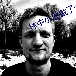 林中小屋截了一段小视频