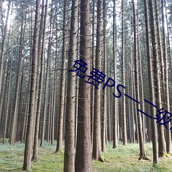 免费PS一二级调色大(dà)片