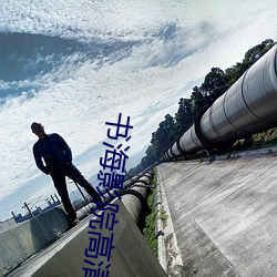 书海影院高清免费看电(電)视剧