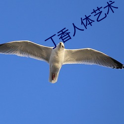 丁香人体艺术 （击其不意）