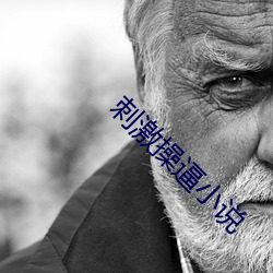 刺激操(操)逼小(小)说(說)