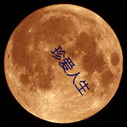 珍愛人生