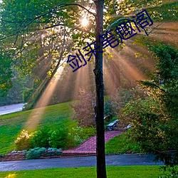 剑来笔趣阁 （祖宗家法）