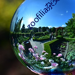 zoofilia雜交videos
