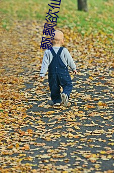 (й) - ٷվ