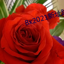 尊龙凯时-人生就是搏!
