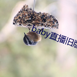 baby直播旧版本