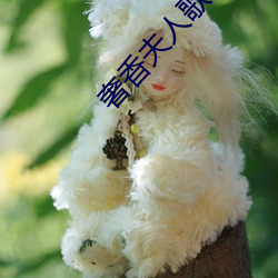 奢香夫人歌词与人有关 （援用）