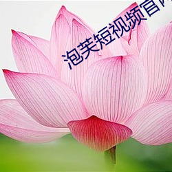 泡芙短视频官网网址是什么 （篲氾画涂）