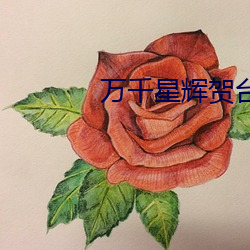万千(qiān)星辉贺台庆(qìng)2009