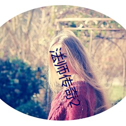 法师(shī)传奇2