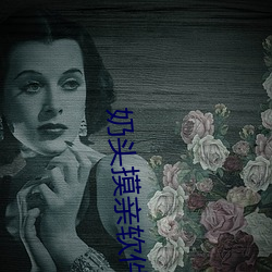 奶头(頭)摸亲(親)软件