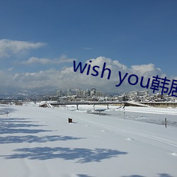 wish you韩剧在线观看