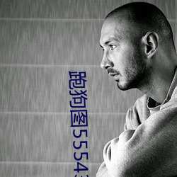 跑狗图555436www （单见浅闻）