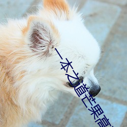 一(yī)本(běn)之道(dào)芒果(guǒ)高清特(tè)色(sè)2021
